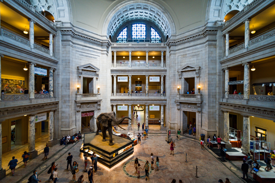 Smithsonian National Museum of Natural History