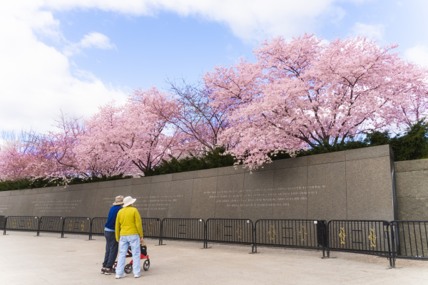 MLK Jr. Memorial