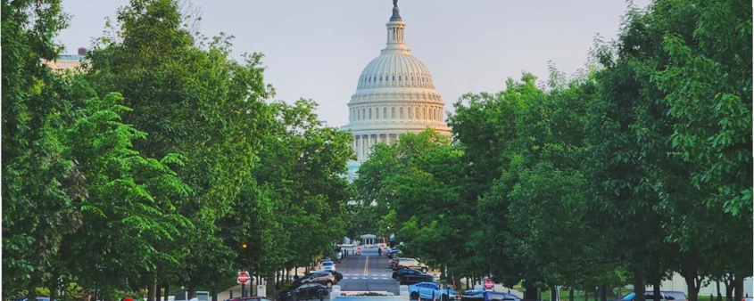 A tree lined street with the top of the Capitol building at the end