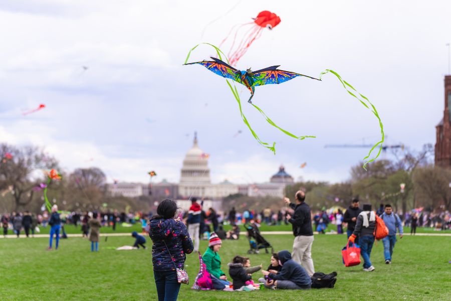 NCBF Kite Festival