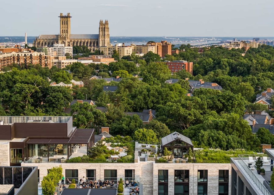 Rooftop View City Ridge