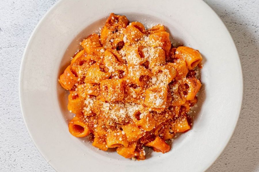 Close-up of the Mezzi Rigatoni at The Red Hen, featuring hollow noodles in a red sauce, topped with parmesan