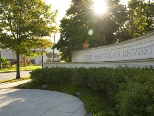 American University