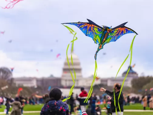 A vibrant kite flies in the foreground with the U.S. Capitol building in the background during the National Cherry Blossom Festival.